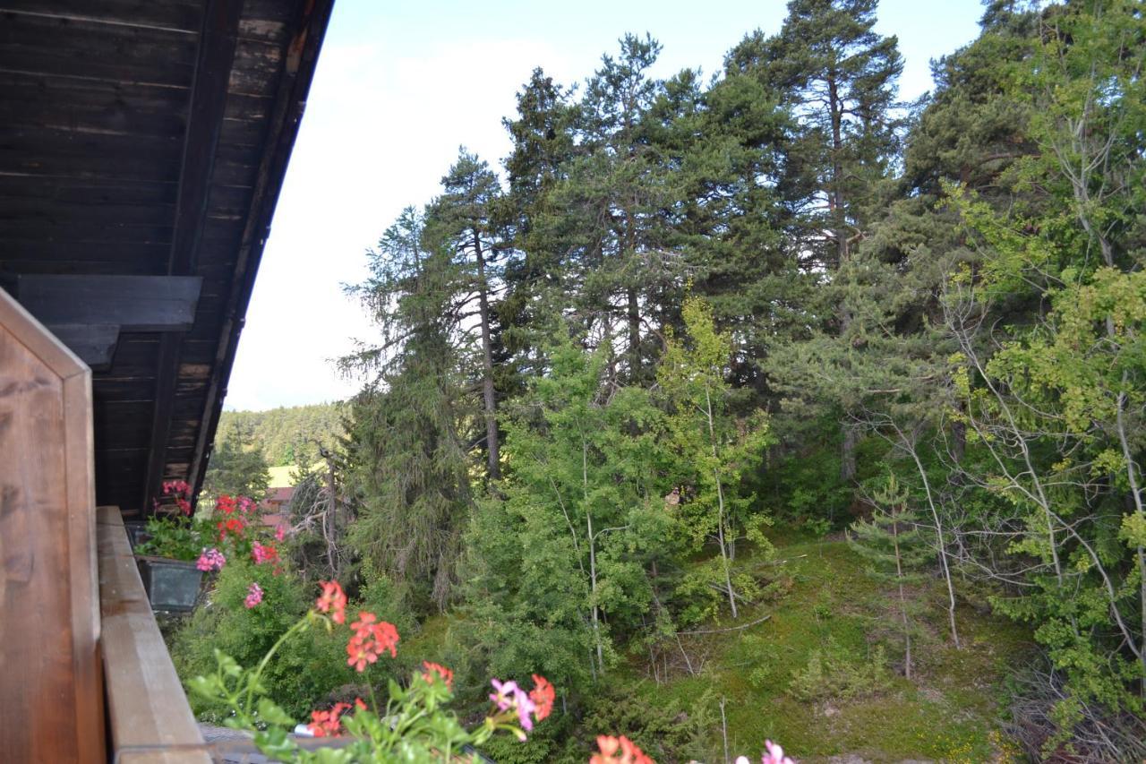 Gasthof Zum Gruenen Baum Verano Exterior photo