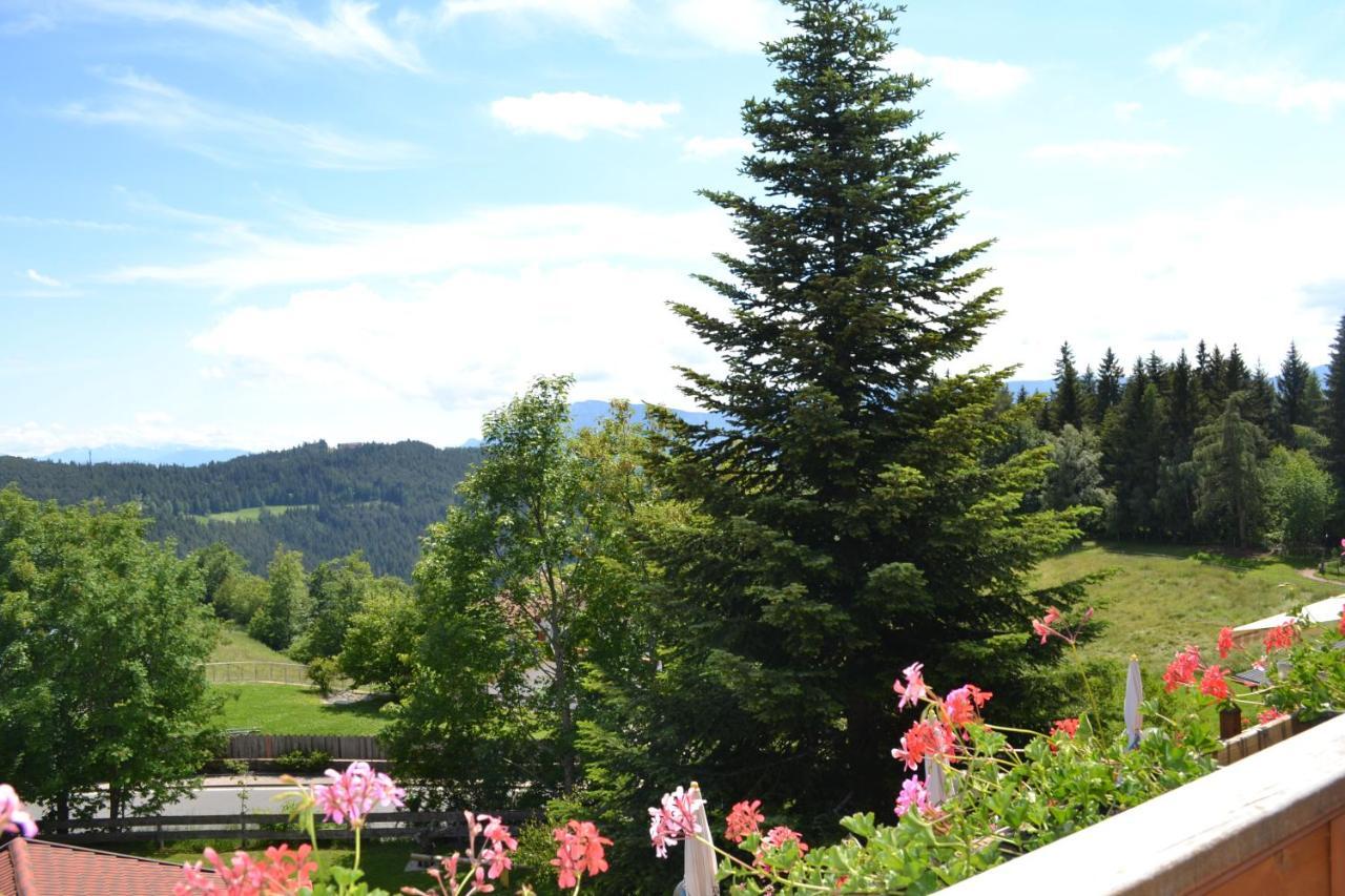Gasthof Zum Gruenen Baum Verano Exterior photo